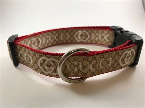 gucci inspired dog collar